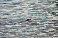 04 01 17_5178_edited-1